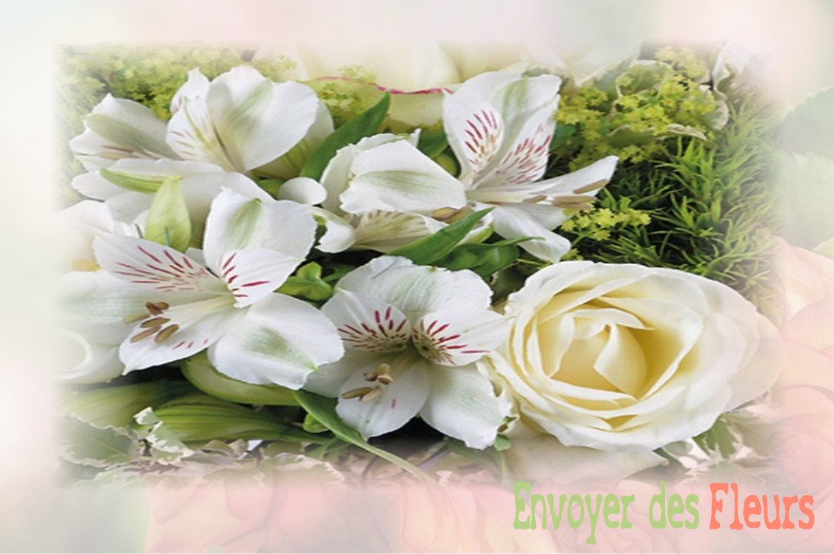 envoyer des fleurs à à VELAINE-SOUS-AMANCE